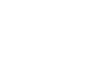 Guggenheim intrapresae