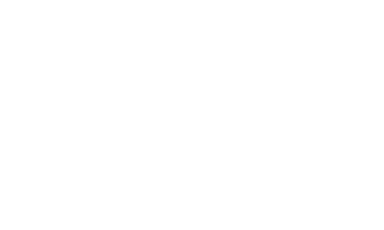 Villani